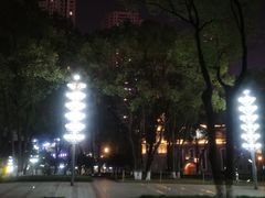 -重庆市江北嘴中央商务区中央公园