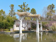 -梅花山(明孝陵内)