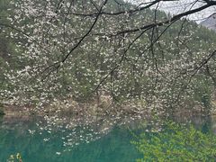 -新江湾城公园