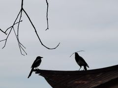 -南京金牛湖风景区