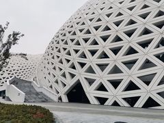 -金沙湖公园