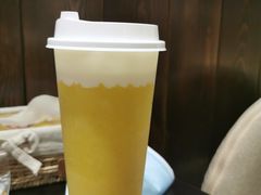 -逗柴咖啡屋·狗咖猫咖宠物桌游