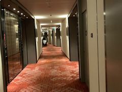 -影汇之星8字形摩天轮