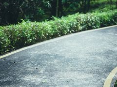 -飞凤山奥体公园