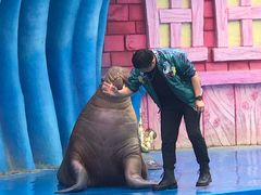 -华夏文旅海洋公园