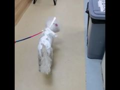 -康乐宝动物医院