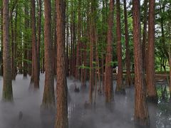 -东湖落雁景区