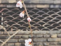-三里河公园