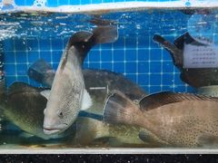 -醉壹号海鲜大排档(厦门美食地标店)