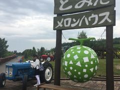 -富田农场