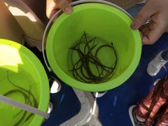 -日照世帆赛基地