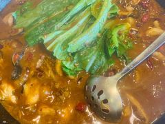 -都江堰石锅鱼