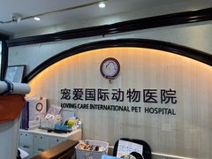 -宠爱国际动物医院·消化内科·心肾内科·ISFM猫友好(望京店)