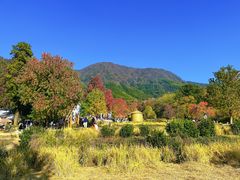 -塔川景区