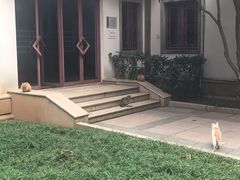 -苏州图书馆(人民路总馆)