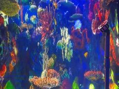 -唱吧麦颂KTV·派对(东坝店)