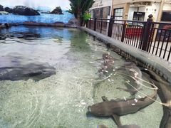 -鸿通城购物中心