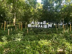 -天目湖山水园