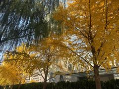 -安立路(地铁站)