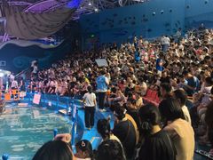 -烟台海昌鲸鲨海洋公园