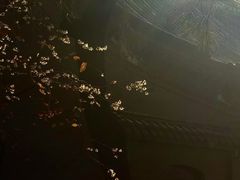 -西安曲江寒窑遗址公园