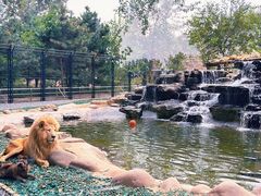 -北京野生动物园