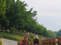 -风云岭森林公园