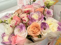 -上海星瀚奔驰4S店(红柳路店)