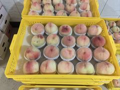 -老袁家蜜桃农场·阳山水蜜桃