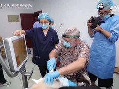 -柏乐口腔医院·舒适化无痛种植牙中心(东盟商务区院)