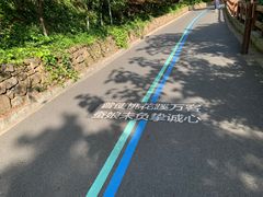 -杭州半山国家森林公园