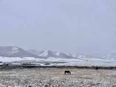-扁都口生态休闲旅游区