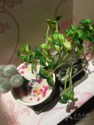 -本真坊美容美体沙龙