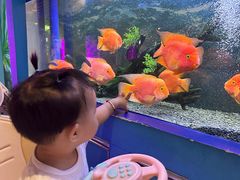 -沙沙哗啦海洋馆(华宇百花谷店)