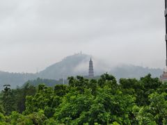 -顺峰山公园