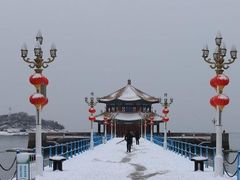 -1937青岛老味道·海肠捞饭·青岛菜(大鲍岛栈桥店)