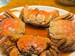 熟醉大闸蟹-老吉士酒家(天平路店)