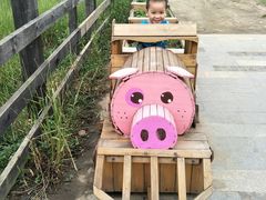 -田园东方蜜桃村的田野营地