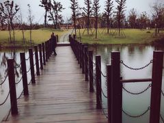 -上海长兴岛郊野公园