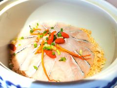 翅汤活鱼捞饭-悦江(梅奔中心店)