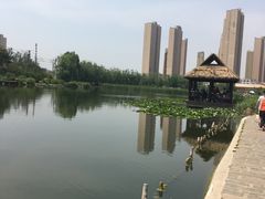 -前关湿地公园