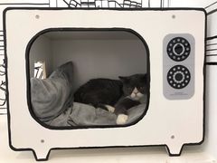 -白夜2D咖啡馆