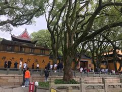 -普陀山慧济禅寺