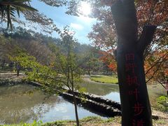 -田野绿世界