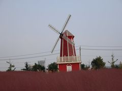 -羊亭河湿地公园