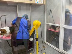 -宠福鑫康馨动物医院·骨科·眼科