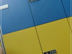 -福建省奥林匹克体育中心游泳馆