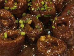 -九花山烤鸭店