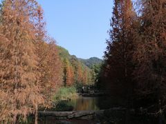 -云溪植物园