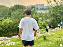 -白鹭湾湿地公园